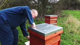 DuBEnG Petes Bees  oxalic acid  Home brew honey  bee keeping  organic random interview [upl. by Gala]