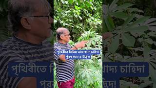 পৃথিবীতে বিভিন্ন ভাবে খাদ্য চাহিদা পুরন করে যে উদ্ভিদ [upl. by Arval]