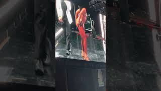 Pitbull Wantagh NY Part 2 PADT24 [upl. by Omrellig]