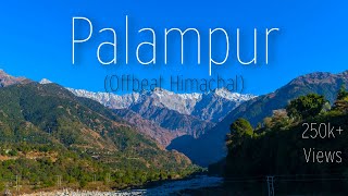 PALAMPUR │ PALAMPUR TOURIST PLACES │ OCTOBER │ BEST OFFBEAT DESTINATION IN HIMACHAL PRADESH [upl. by Dalpe]