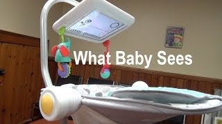 What Baby Sees NewborntoToddler Apptivity Seat for iPad [upl. by Hobard]