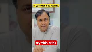 If your dog not eating food try this trick [upl. by Koffler213]