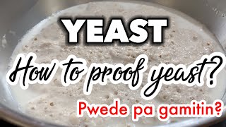 How to proof yeast  How to use yeast at malaman kung pwede pa [upl. by Keener]