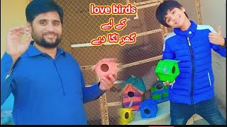 love birds k houses LGA diay [upl. by Paco332]