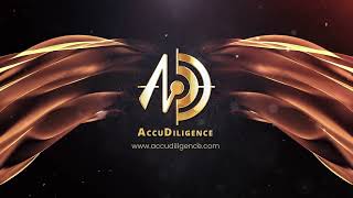 Introducing AccuDiligence a Platform to Revolutionize MampA Due Diligence [upl. by Verile]