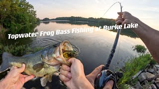 Topwater Frog Bass Fishing at Burke Lake in Summer [upl. by Nnaed523]