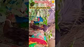 Ayiye dosto brela ghumati hu ankitakumari sorts [upl. by Valdes33]