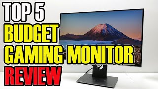 ✅ 2020 Review Dell S2417DG Gaming Monitor  Top 5 Best Budget Gaming Monitors [upl. by Magnolia]