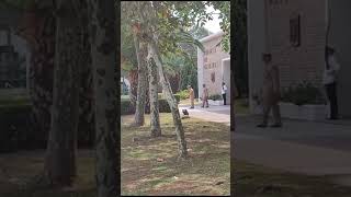 MARCHA DEL CADETE  ESCUELA DE OFICIALES PREFECTURA NAVAL ARGENTINA [upl. by Ilahtan426]