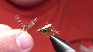 Glasshead Caddis Emerger  Yellowstone Country Fly Fishing [upl. by Ellivro890]