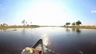 Moremi Crossing 360View of Mokoro Ride on the Boro River [upl. by Heriberto593]