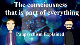 Panpsychism Explained [upl. by Matuag]