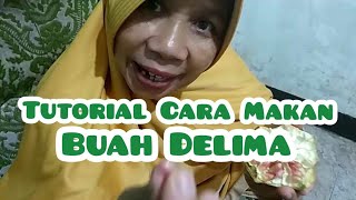 Tutorial Makan Buah Delima [upl. by Ettenaej]