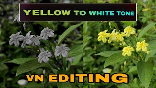 VN EDITING  Yellow to white tone  Colour grading editing videoediting vnapp tutorials [upl. by Ditzel]