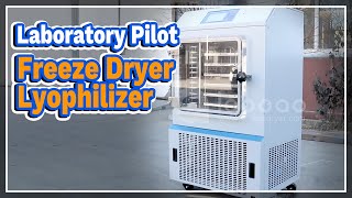 Laboratory Pilot Freeze Dryer Lyophilizer  LABOAO [upl. by Katharyn]