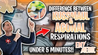 Kussmaul amp Agonal Respirations Explained [upl. by Towrey]