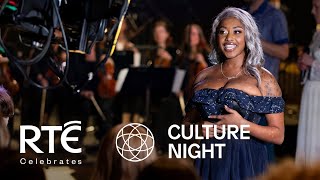 RTE Celebrates Culture Night Promo [upl. by Zwiebel]