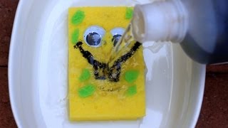 Sulfuric Acid vs Sponge  Chemical Reaction [upl. by Armington864]