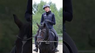 Why You Should Try Cavaletti Work with Your Horses Ingrid Klimke [upl. by Kial317]