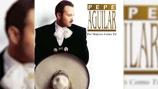 Pepe Aguilar  El Toro Serrano Visualizador Oficial [upl. by Gaylene]