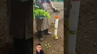 Grow smart vegetables sonasmr [upl. by Otiragram]