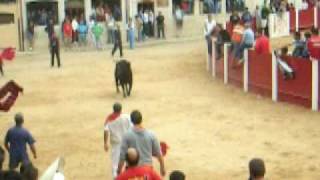 TOROS EN PEÑAFIEL [upl. by Netti697]