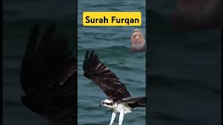 Surah Furqan shorts islam islamicislamicstatus islamicbio viralvideo trending islamicshorts [upl. by Ardin215]