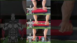 quotTop Forearm Workouts for Stronger Arms 💪  Quick amp Effective Exercisesquot [upl. by Ylicec]