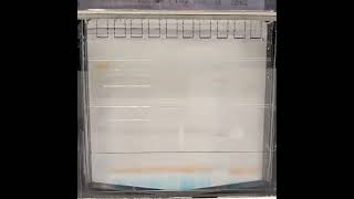 Sodium dodecylsulfate polyacrylamide gel electrophoresis SDSPAGE science biology dna protein [upl. by Luehrmann]