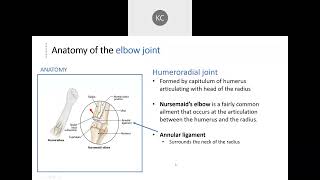 Articulations  Humeroulnar amp Humeroradial Joints  Part 7 [upl. by Boak]