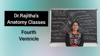 Anatomy of Fourth 4th Ventricle by DrRajitha Vanga [upl. by Lletnuahs]