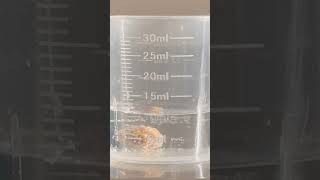 Watch Chemical Reaction between 10ml 3 Hydrogen Peroxide VS 02g Ear Wax earwax earwaxremoval [upl. by Dlaniger]