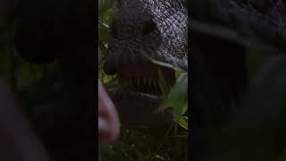 Muldoons Ikonischer Satz „Cleveres Mädchen“ JurassicPark Shorts [upl. by Taima573]