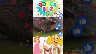 Qual Animal é Conhecido por Construir Represas EducaQuiz 32 quiz educakidsbrasil [upl. by Yhtomit]