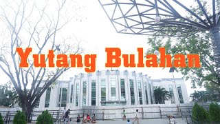 Escalante Yutang Bulahan [upl. by Nalepka15]