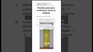 Positive pressure ventilation leads to oliguria [upl. by Michelle]