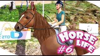 Horse Life 2 6 No co te zawody [upl. by Eicnahc]