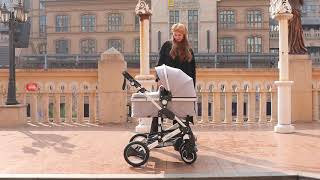 Bambimo Kinderwagen 3 in 1 von Daliya ®  Kombikinderwagen unterwegs im Freien Jetzt bestellen [upl. by Cuttler214]