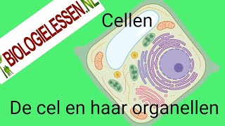 De cel en haar organellen [upl. by Arretahs]