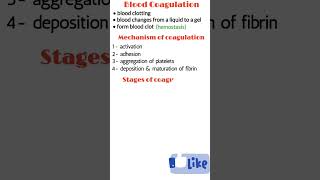 Blood coagulation hemostasis blood coagulation mechanism blood coagulation stages shorts [upl. by Friedrick498]