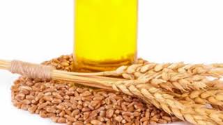 Health Benefits of Wheat germ oil Uses [upl. by Stambaugh]