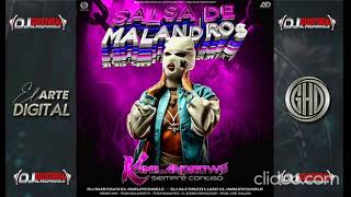 SALSA DE MALANDROS ✘KAMILANDROWS DISCPLAY ✘DJ GUSTAVO EL INSUPERABLE✘DJ ALFONZO LUGO EL INSUPERABLE✘ [upl. by Stroud]