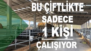 Bu Çiftlikte Sadece 1 Kişi Çalışıyor [upl. by Vez626]