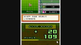 Pokemon Ranger 2  Quests 4 [upl. by Sateia]