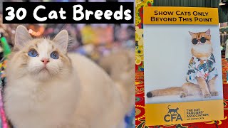 Meet Every Cat Breed at the Largest Cat Show in the World CFA International 2023  The Cat Butler [upl. by Enivid702]