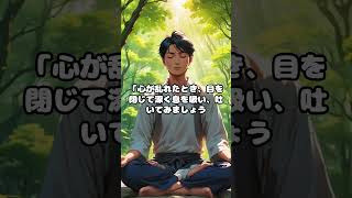 たった今から始める禅の心：静寂と呼吸の力禅瞑想 瞑想の森 坐禅 宗教 名言 [upl. by Llesram]