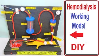 hemodialysis working model science project for exhibition  biology project  diy  craftpiller [upl. by Aleemaj]