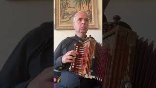 Le Reel de l’Hôtelier 16 Cajun Accordion Martin lygeros music accordion ‪shorts learn [upl. by Otrebilif]