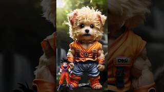 DBZ GOKU IN MALTIPOO PUPPY MODEDRAGONBALL ZSIMPAPA [upl. by Dulcy]