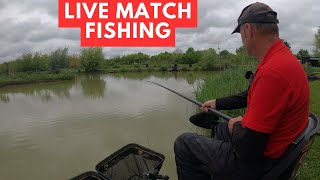 Live Fishing Match Manor Farm Swilland ip6 9lb matchfishinguk [upl. by Adnamaa]